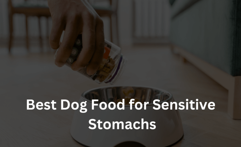 Finding the Perfect Meal: Unraveling the Mystery of the Best Dog Food for Sensitive Stomachs